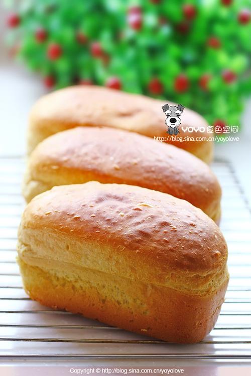 �ƽ�֥ʿ���������