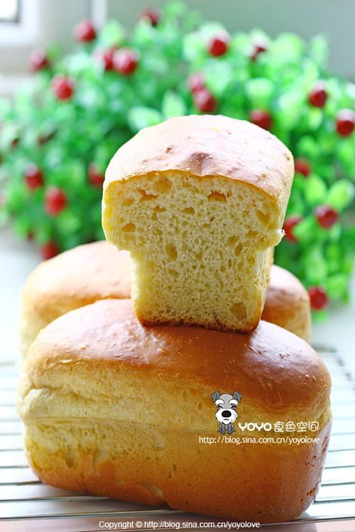 �ƽ�֥ʿ���������