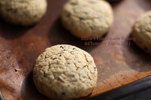 �ɿ��������ѱ��ɵ�����