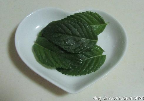 �������������