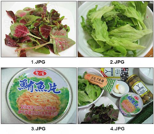 ����ɳ��������