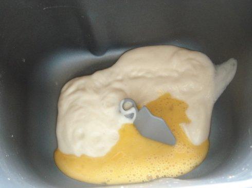 ���ȫ���������