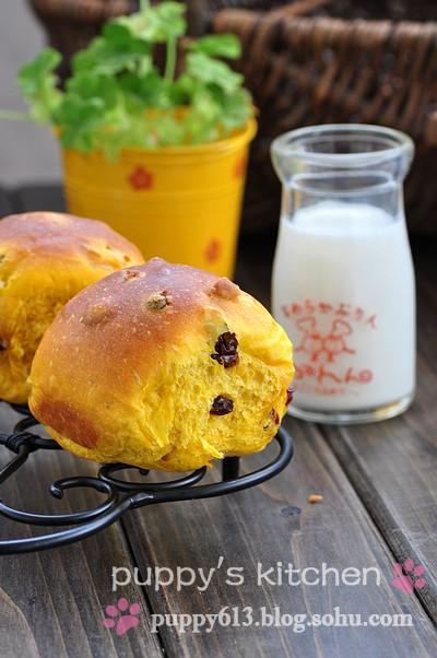 �ϹϹ������������