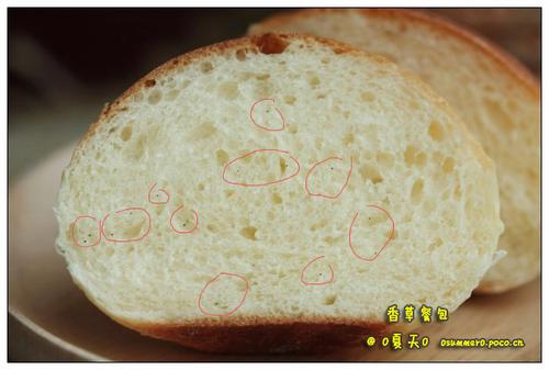 ��ݲͰ�������