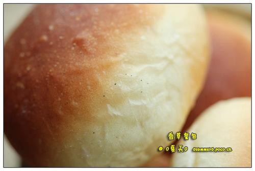 ��ݲͰ�������