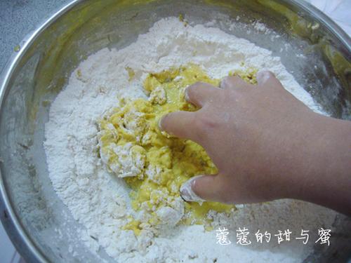 ����ȹ����������