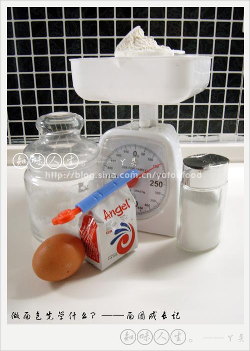 ���ųɳ��ǵ��������������-�������ѧʲô��