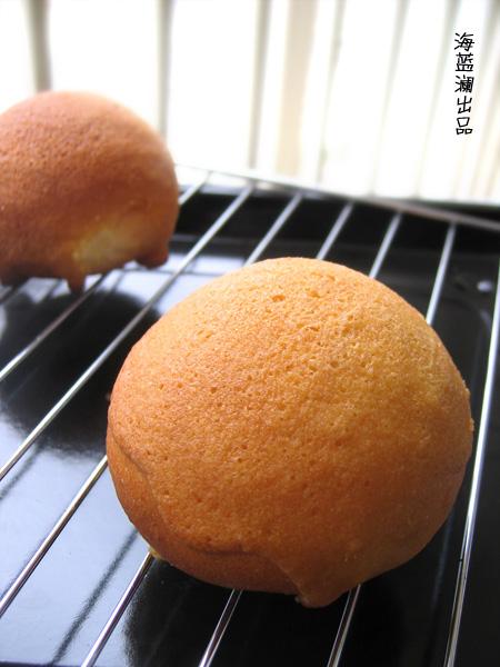 ����ī�����������������Ͳ���-��ī���罴��������������