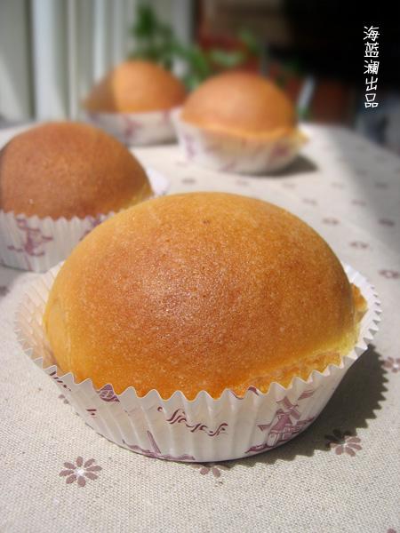 ����ī�����������������Ͳ���-��ī���罴��������������