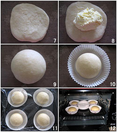 ����ī�����������������Ͳ���-��ī���罴��������������