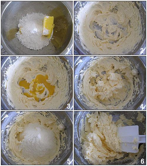 ����ī�����������������Ͳ���-��ī���罴��������������