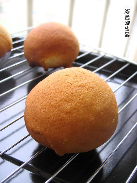 ����ī�����������������Ͳ���-��ī���罴��������������