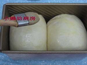 100������Ĵ�����˾������