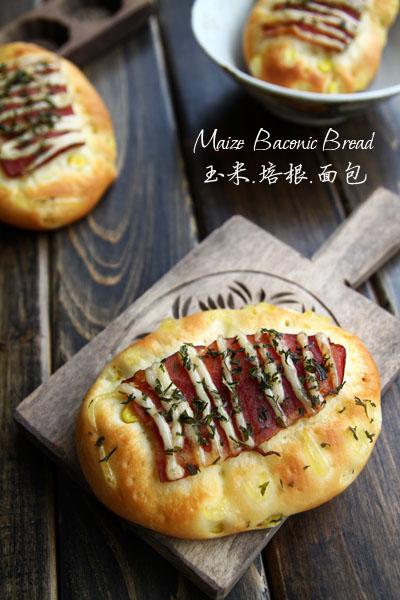 �������������������Ͳ���-Ӫ���ḻ�ʿ�����ļ�ͥ�������