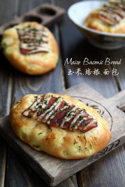 �������������������Ͳ���-Ӫ���ḻ�ʿ�����ļ�ͥ�������