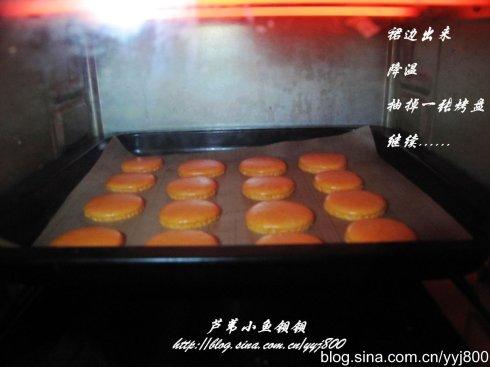 ��ɫ������������