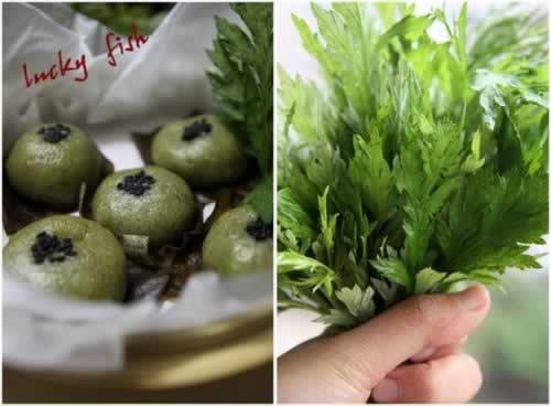 ���ٵ������������ڲ���-�������ţ�