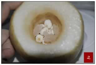 ����ѩ���ѵ�����������������ֹ�ȡ��������׵�ҩ����Ʒ��