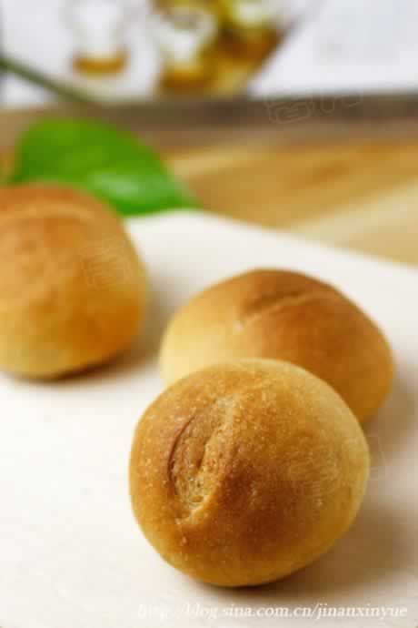 ţ�������������