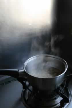 Ŵ�׾���ɰ�������������ͥʳ��-�����ֲ��ģ�