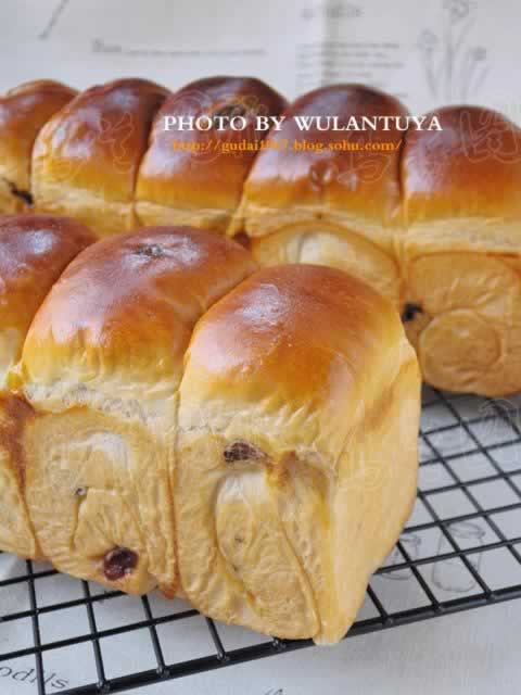 ���Ѹɰ���˾������