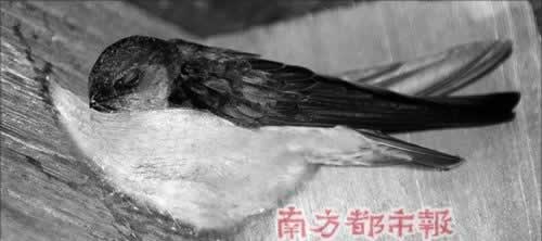 ���ʱ������ѵ��������������ѵ�һЩע�����