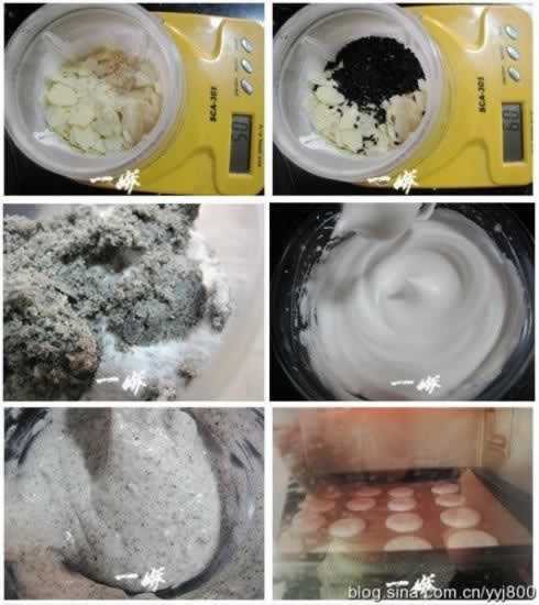 ��֥��������������