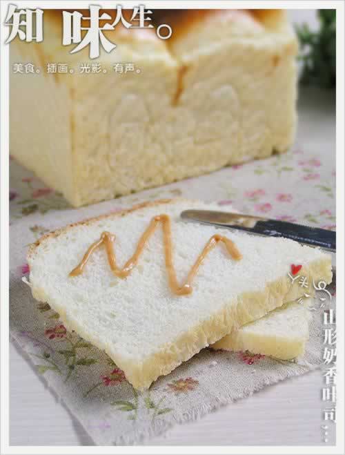 ɽ��������˾������