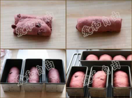 ������Խݮ��˾������