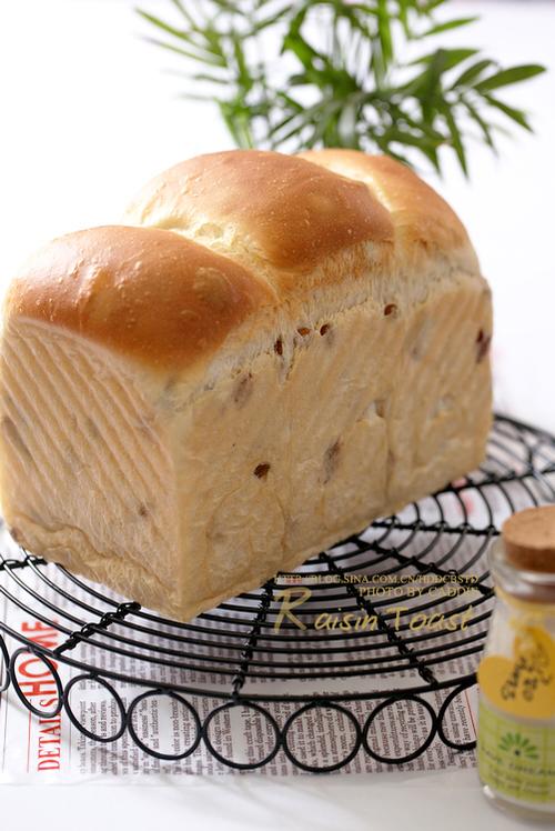 ���ַ����Ѹ���˾������