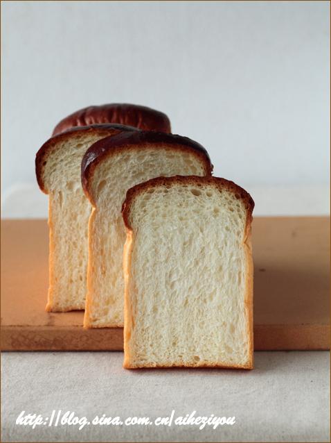 ������˾��B.L.T�����ε�����