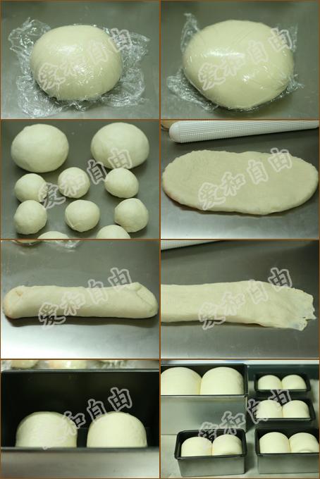 ������˾��B.L.T�����ε�����