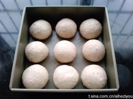 ɽҩ���Ұ�������