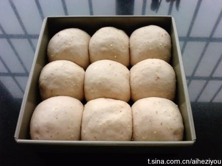 ɽҩ���Ұ�������