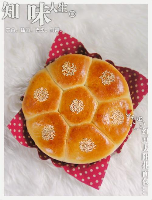 �춹̫�������������