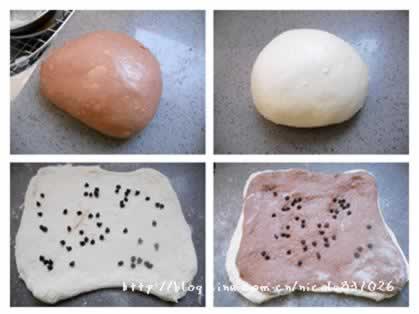 ˫���ɿ���Ť�ƴ���˾������