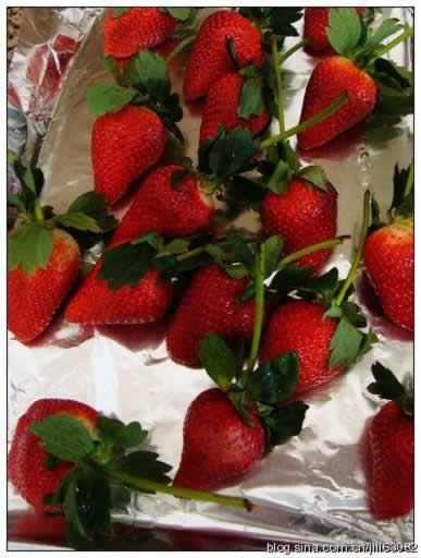 �ɿ�����ݮ�������������򵥵�һ����㣩