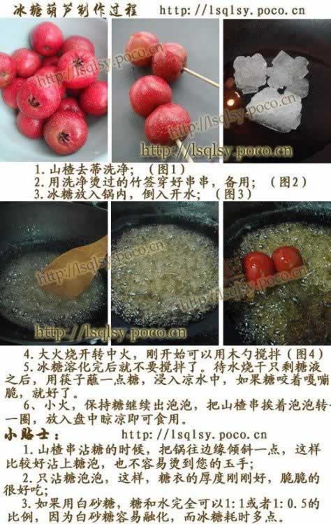 ���Ǻ�«��������������ʳ-����������꣩