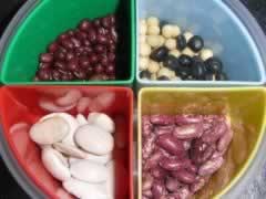 ţ��СԲ�ӵ���������Ʒ��