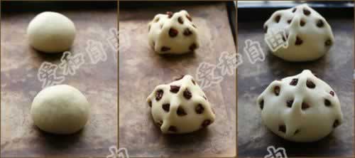 �����ĵ�����