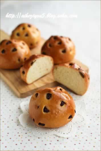 �����ĵ�����