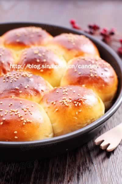 �춹С�Ű�������