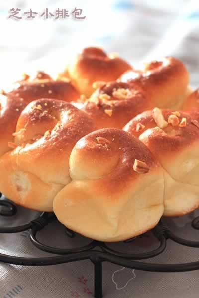 ֥ʿС�Ű�������