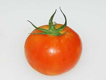 ���ѻƹ�ɫ��������