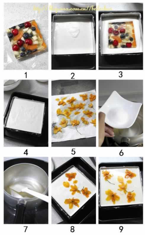 �ƶ���֦Ľ˹�������������Ʒ��