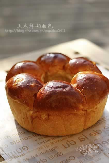 �����������������