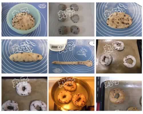 ��ݮ����������