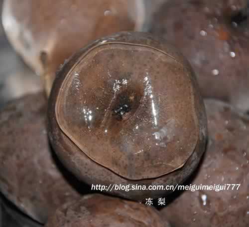 冻梨、软儿梨、黑梨的做法(特色水果)