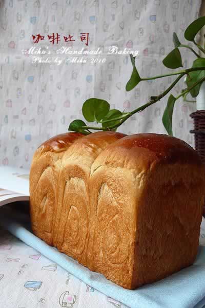 ������˾������