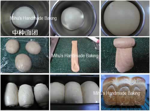 ������˾������